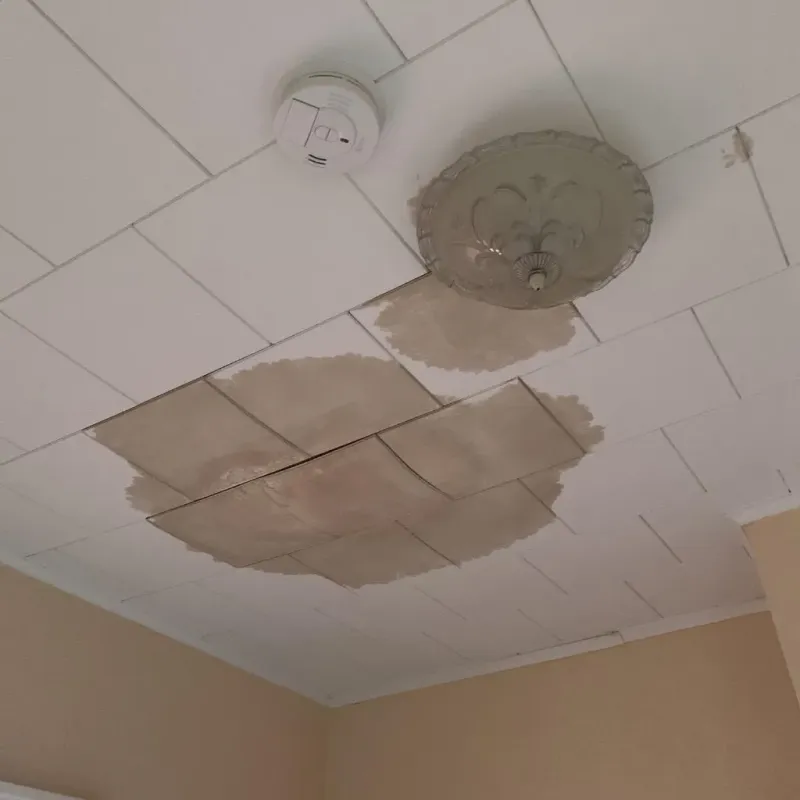 Ceiling Water Damage Repair in Millville, MA