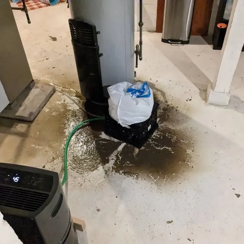 Sewage Backup Cleanup Service in Millville, MA